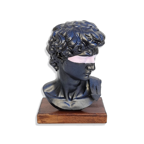 Scultura David di Michelangelo PopArt