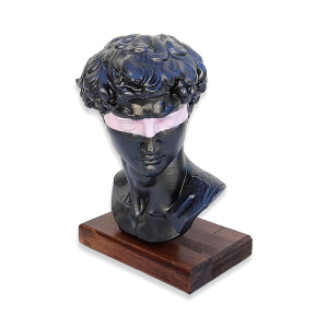 Scultura David di Michelangelo PopArt