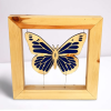 Flying Beauty - Scultura in legno e resina