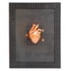 Secrets in the Heart – Cuore Anatomico Rame.