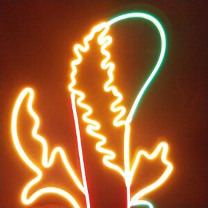 Ass i Mazz - Neon Led