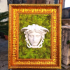 Medusa Green Moss